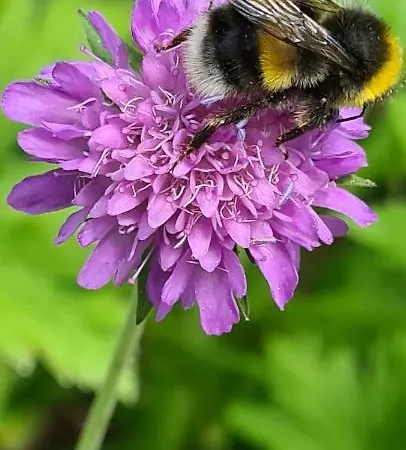 Haus Tuxerklamm Lägenhet Finkenberg
